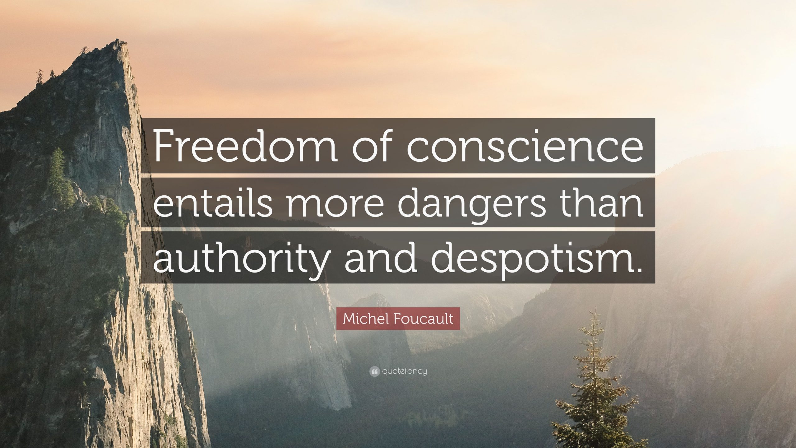 Michel Foucault assessing freedom of conscience in Madness and Civilization
